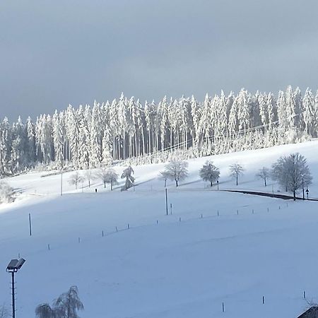 Im Salzgassle Lejlighed Schonach im Schwarzwald Eksteriør billede