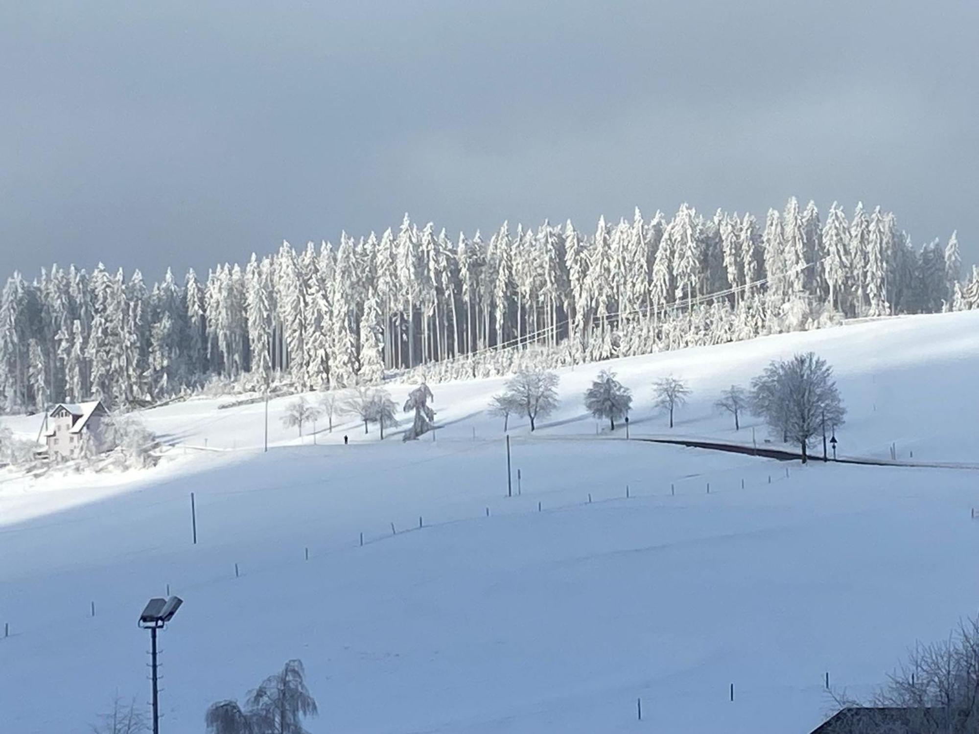 Im Salzgassle Lejlighed Schonach im Schwarzwald Eksteriør billede